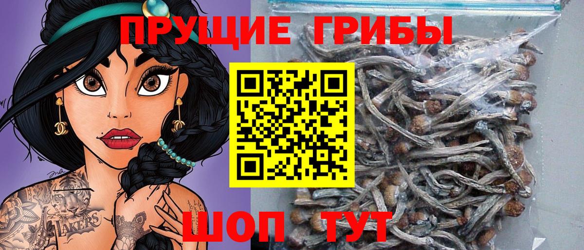 Галлюциногенные грибы MAGIC MUSHROOMS  Вход с VPN  Чайковский 